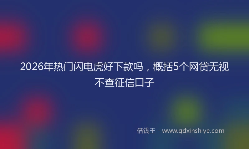 2026年热门闪电虎好下款吗，概括5个网贷无视不查征信口子