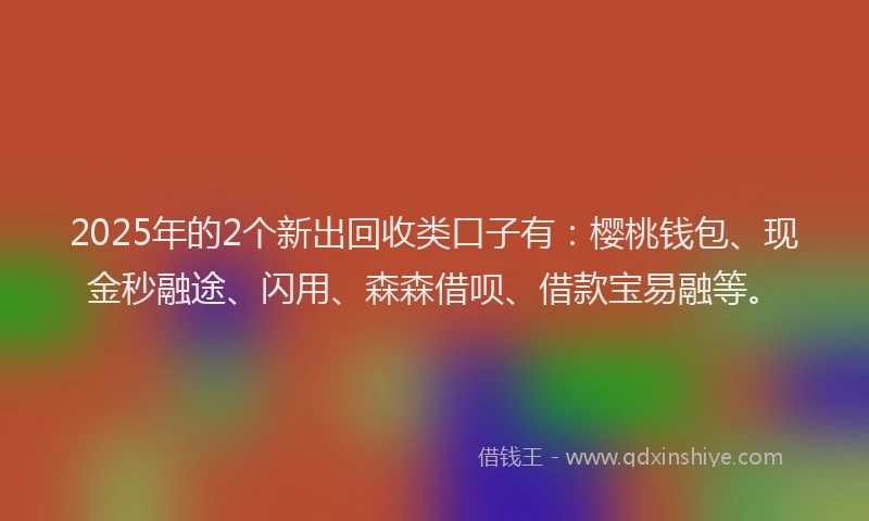 2025年的2个新出回收类口子有：樱桃钱包、现金秒融途、闪用、森森借呗、借款宝易融等。