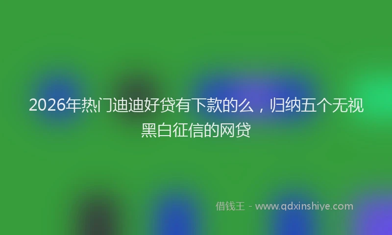 2026年热门迪迪好贷有下款的么，归纳五个无视黑白征信的网贷