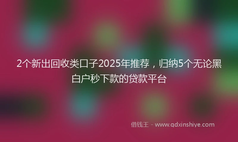 2个新出回收类口子2025年推荐，归纳5个无论黑白户秒下款的贷款平台