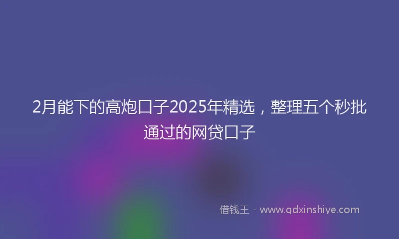 2月能下的高炮口子2025年精选，整理五个秒批通过的网贷口子