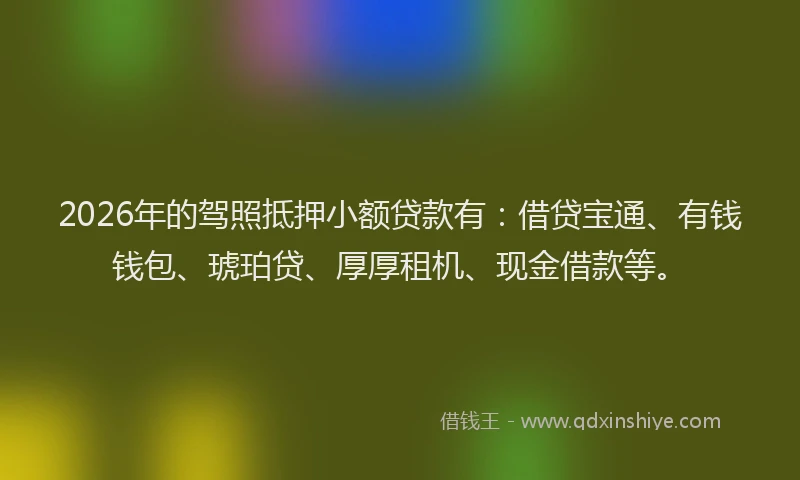 2026年的驾照抵押小额贷款有：借贷宝通、有钱钱包、琥珀贷、厚厚租机、现金借款等。