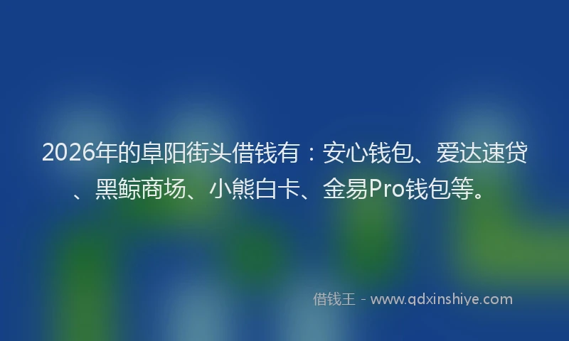2026年的阜阳街头借钱有：安心钱包、爱达速贷、黑鲸商场、小熊白卡、金易Pro钱包等。