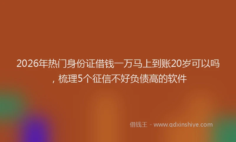 2026年热门身份证借钱一万马上到账20岁可以吗，梳理5个征信不好负债高的软件
