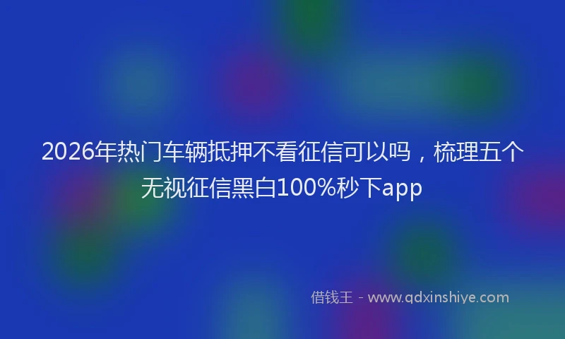 2026年热门车辆抵押不看征信可以吗，梳理五个无视征信黑白100%秒下app