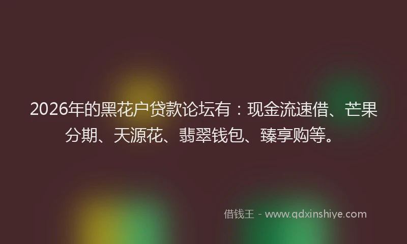 2026年的黑花户贷款论坛有：现金流速借、芒果分期、天源花、翡翠钱包、臻享购等。