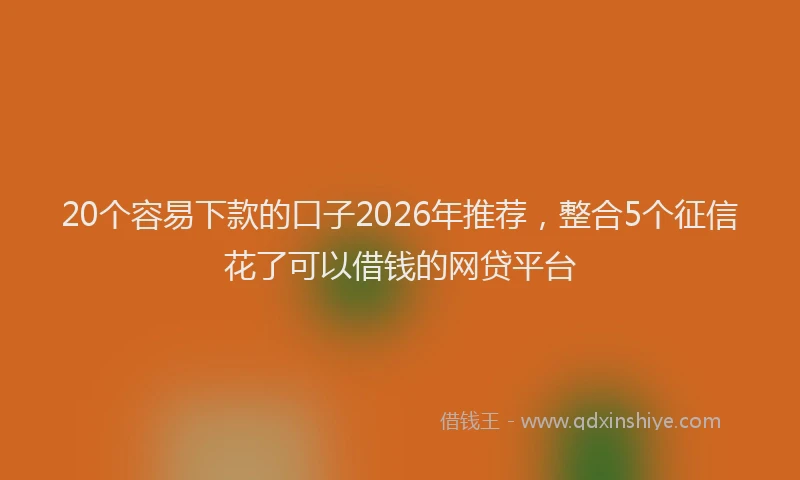 20个容易下款的口子2026年推荐，整合5个征信花了可以借钱的网贷平台