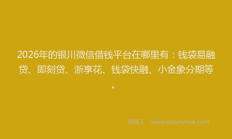 2026年的银川微信借钱平台在哪里有:钱袋易融贷、即刻贷、浙享花、钱袋快融、小金象分期等。
