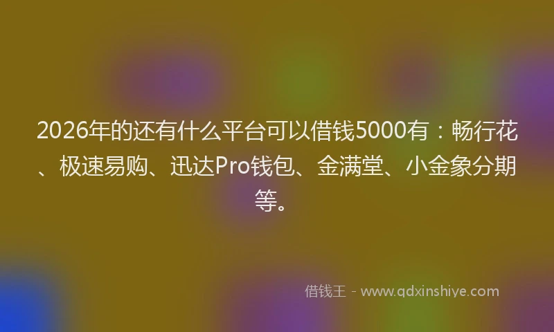2026年的还有什么平台可以借钱5000有:畅行花、极速易购、迅达Pro钱包、金满堂、小金象分期等。
