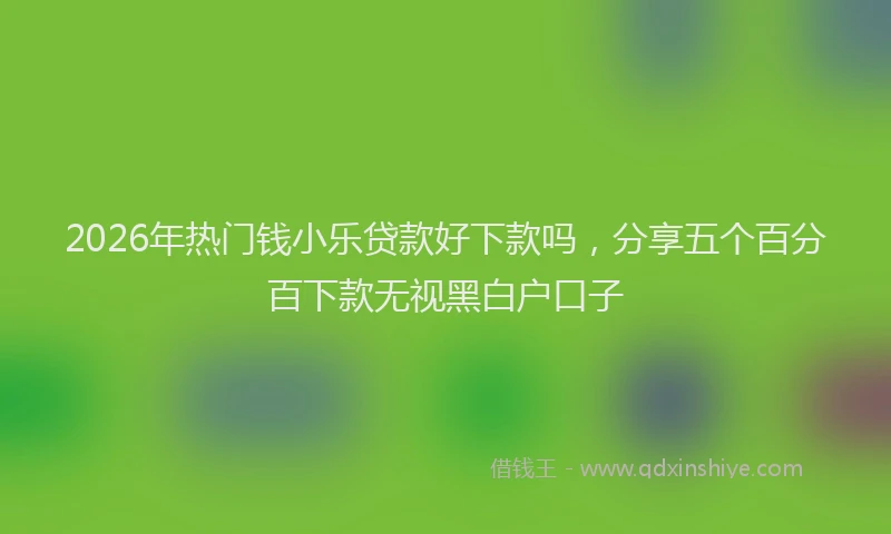 2026年热门钱小乐贷款好下款吗，分享五个百分百下款无视黑白户口子