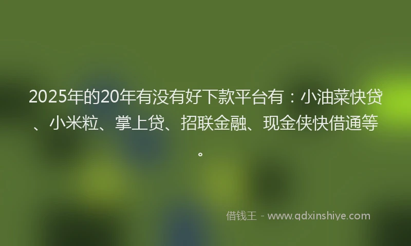 2025年的20年有没有好下款平台有：小油菜快贷、小米粒、掌上贷、招联金融、现金侠快借通等。