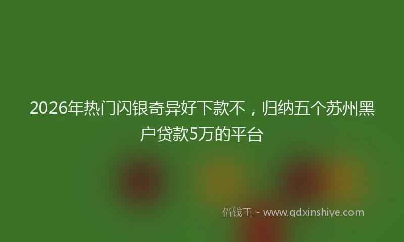 2026年热门闪银奇异好下款不，归纳五个苏州黑户贷款5万的平台