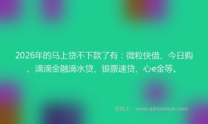 2026年的马上贷不下款了有:微粒快借、今日购、滴滴金融滴水贷、银票速贷、心e金等。
