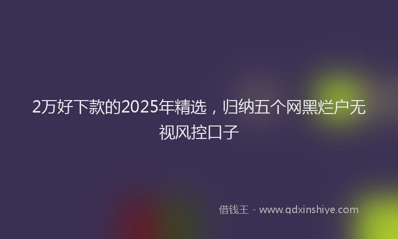2万好下款的2025年精选，归纳五个网黑烂户无视风控口子