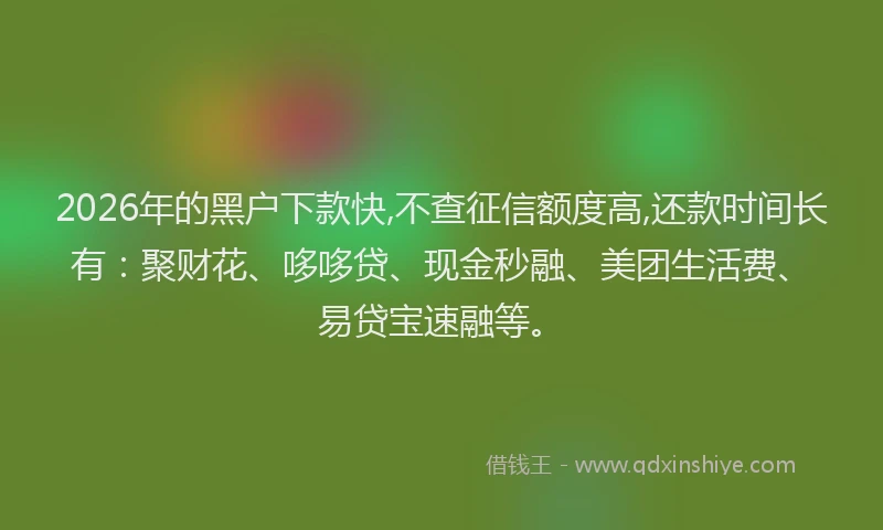 2026年的黑户下款快,不查征信额度高,还款时间长有:聚财花、哆哆贷、现金秒融、美团生活费、易贷宝速融等。