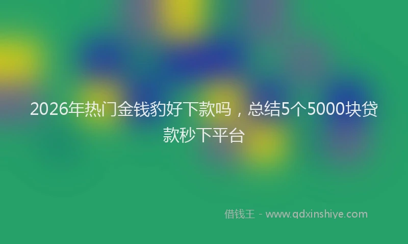2026年热门金钱豹好下款吗,总结5个5000块贷款秒下平台