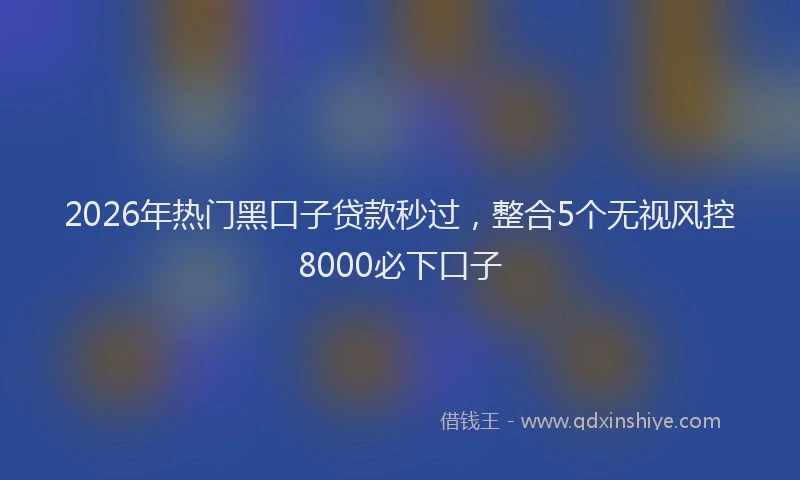 2026年热门黑口子贷款秒过，整合5个无视风控8000必下口子