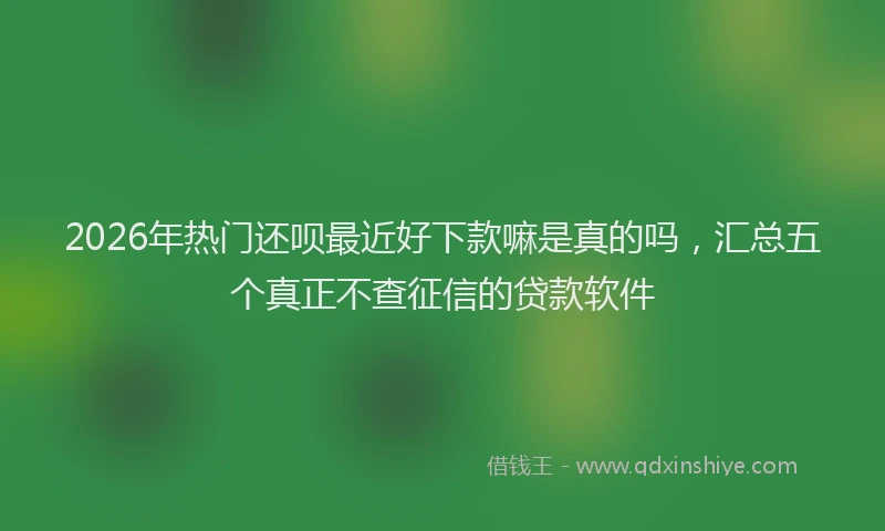 2026年热门还呗最近好下款嘛是真的吗，汇总五个真正不查征信的贷款软件