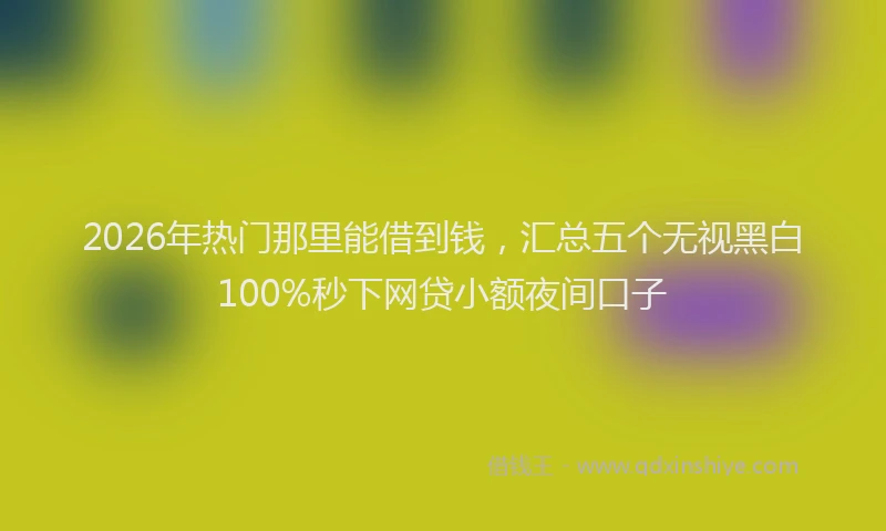 2026年热门那里能借到钱，汇总五个无视黑白100%秒下网贷小额夜间口子