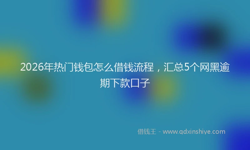 2026年热门钱包怎么借钱流程，汇总5个网黑逾期下款口子
