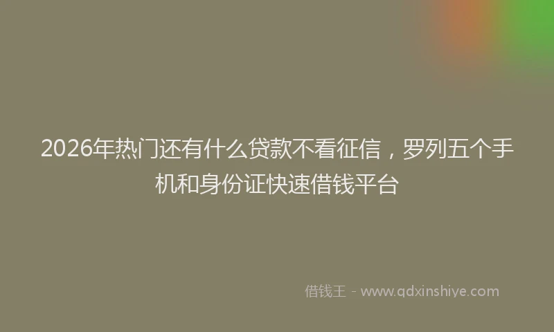 2026年热门还有什么贷款不看征信，罗列五个手机和身份证快速借钱平台