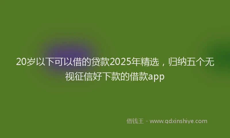 20岁以下可以借的贷款2025年精选，归纳五个无视征信好下款的借款app