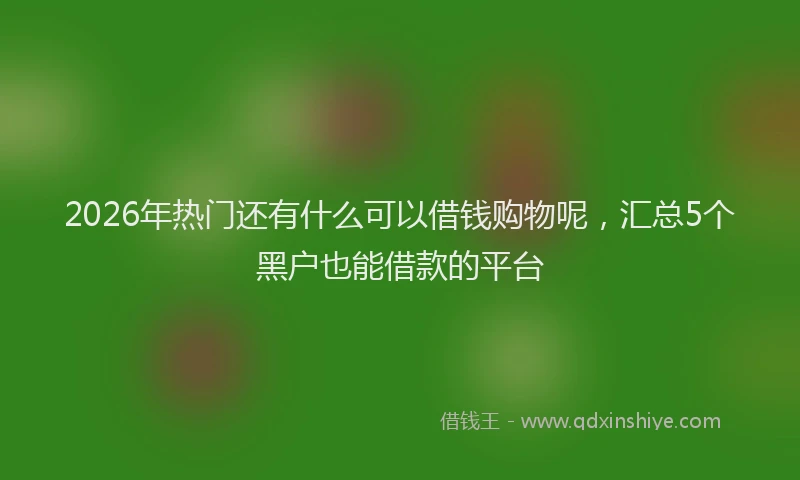 2026年热门还有什么可以借钱购物呢，汇总5个黑户也能借款的平台