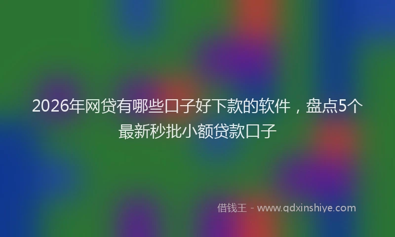 2026年网贷有哪些口子好下款的软件，盘点5个最新秒批小额贷款口子