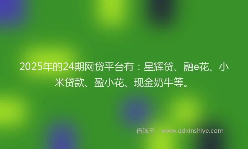 2025年的24期网贷平台有：星辉贷、融e花、小米贷款、盈小花、现金奶牛等。