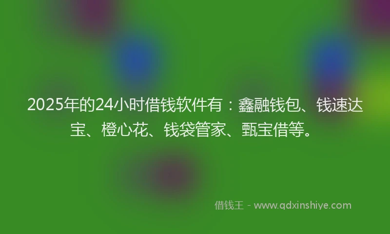 2025年的24小时借钱软件有：鑫融钱包、钱速达宝、橙心花、钱袋管家、甄宝借等。