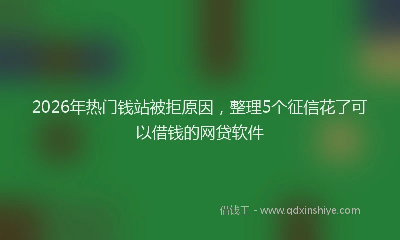2026年热门钱站被拒原因，整理5个征信花了可以借钱的网贷软件