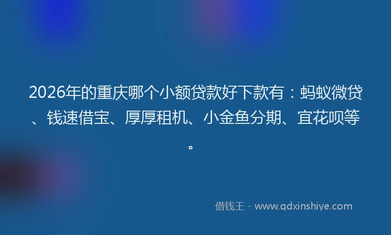 2026年的重庆哪个小额贷款好下款有：蚂蚁微贷、钱速借宝、厚厚租机、小金鱼分期、宜花呗等。