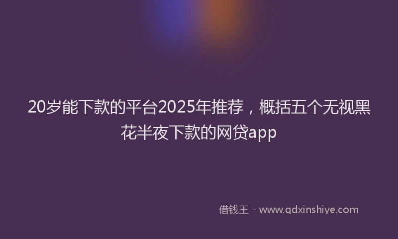 20岁能下款的平台2025年推荐,概括五个无视黑花半夜下款的网贷app