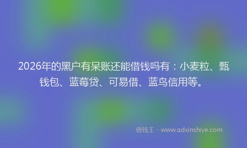 2026年的黑户有呆账还能借钱吗有：小麦粒、甄钱包、蓝莓贷、可易借、蓝鸟信用等。