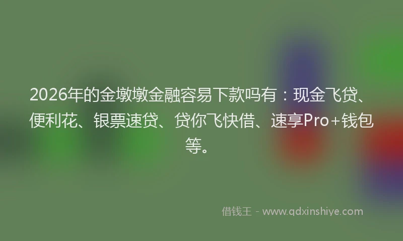2026年的金墩墩金融容易下款吗有:现金飞贷、便利花、银票速贷、贷你飞快借、速享Pro+钱包等。