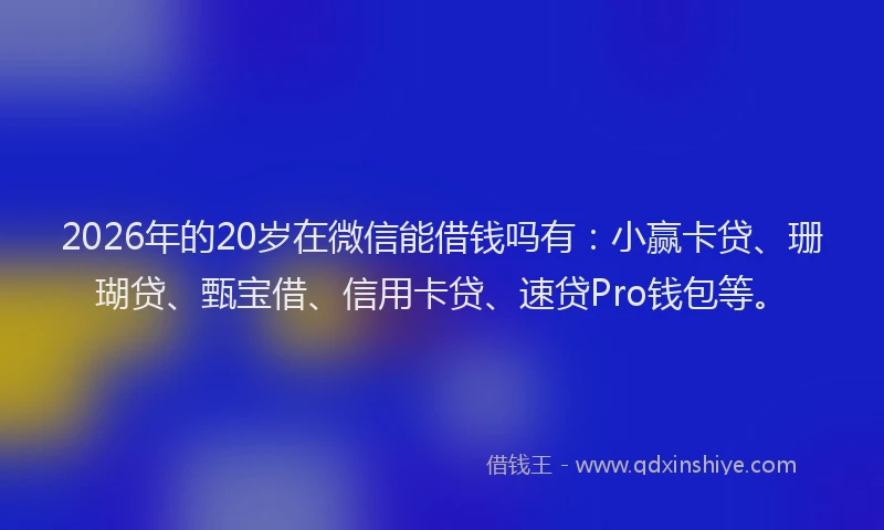2026年的20岁在微信能借钱吗有：小赢卡贷、珊瑚贷、甄宝借、信用卡贷、速贷Pro钱包等。