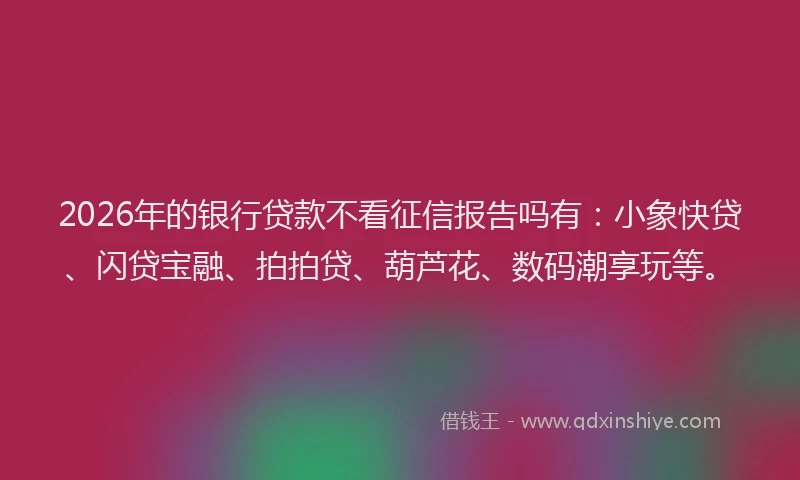 2026年的银行贷款不看征信报告吗有：小象快贷、闪贷宝融、拍拍贷、葫芦花、数码潮享玩等。