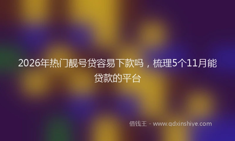 2026年热门靓号贷容易下款吗，梳理5个11月能贷款的平台
