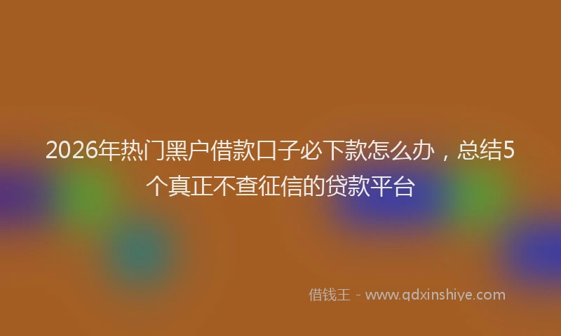 2026年热门黑户借款口子必下款怎么办，总结5个真正不查征信的贷款平台