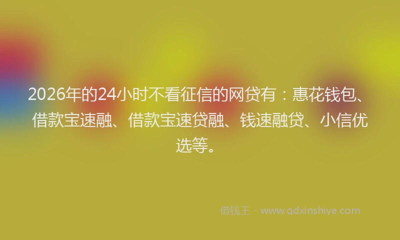 2026年的24小时不看征信的网贷有：惠花钱包、借款宝速融、借款宝速贷融、钱速融贷、小信优选等。