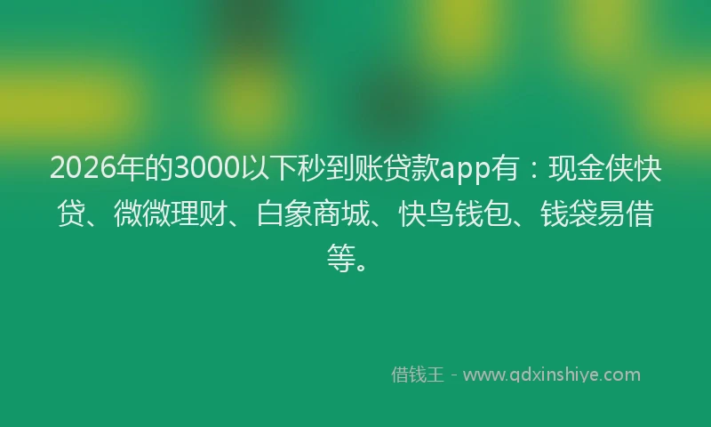 2026年的3000以下秒到账贷款app有:现金侠快贷、微微理财、白象商城、快鸟钱包、钱袋易借等。
