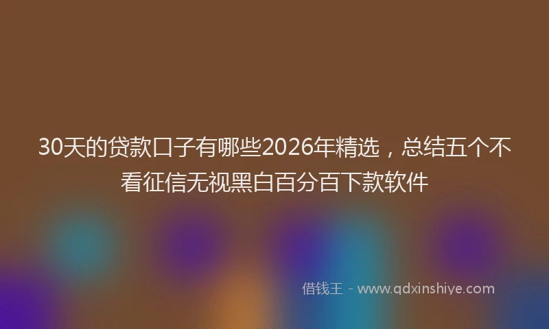 30天的贷款口子有哪些2026年精选，总结五个不看征信无视黑白百分百下款软件