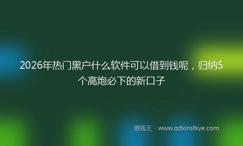 2026年热门黑户什么软件可以借到钱呢，归纳5个高炮必下的新口子