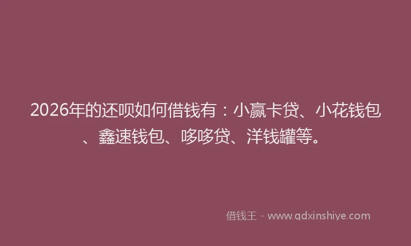 2026年的还呗如何借钱有：小赢卡贷、小花钱包、鑫速钱包、哆哆贷、洋钱罐等。