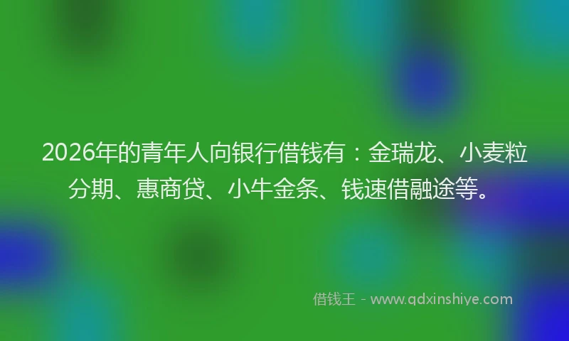 2026年的青年人向银行借钱有：金瑞龙、小麦粒分期、惠商贷、小牛金条、钱速借融途等。