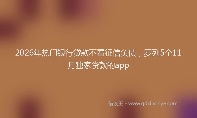 2026年热门银行贷款不看征信负债，罗列5个11月独家贷款的app