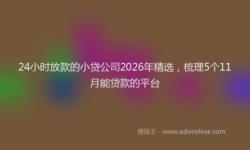 24小时放款的小贷公司2026年精选，梳理5个11月能贷款的平台