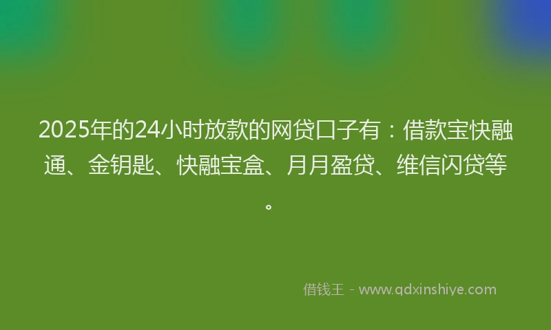 2025年的24小时放款的网贷口子有：借款宝快融通、金钥匙、快融宝盒、月月盈贷、维信闪贷等。