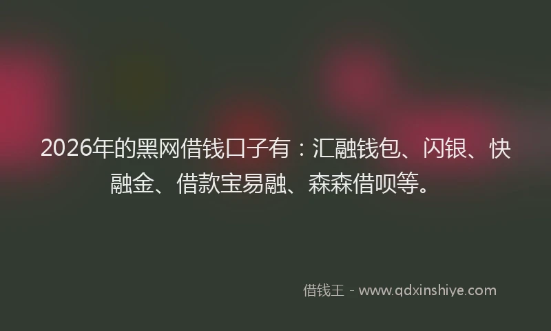 2026年的黑网借钱口子有：汇融钱包、闪银、快融金、借款宝易融、森森借呗等。