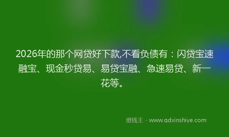 2026年的那个网贷好下款,不看负债有：闪贷宝速融宝、现金秒贷易、易贷宝融、急速易贷、新一花等。